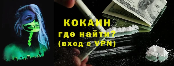 прущий лед Алзамай
