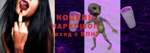 прущий лед Алзамай