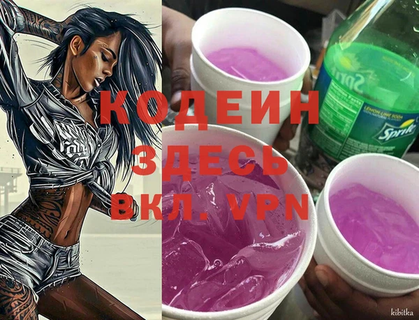 прущий лед Алзамай