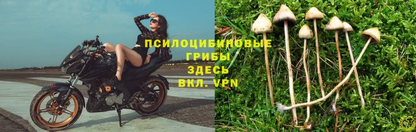 прущий лед Алзамай
