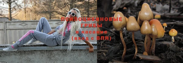 таблы Алексеевка
