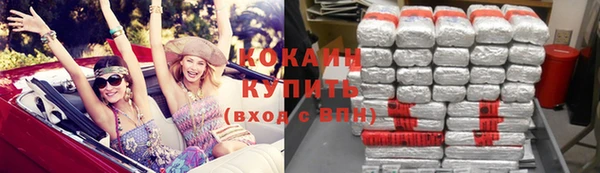 прущий лед Алзамай