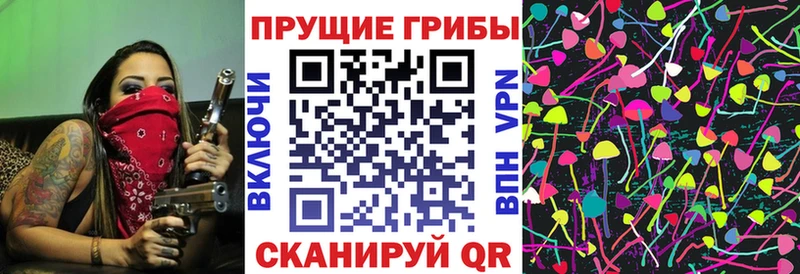 Псилоцибиновые грибы MAGIC MUSHROOMS  продажа наркотиков  Венёв 